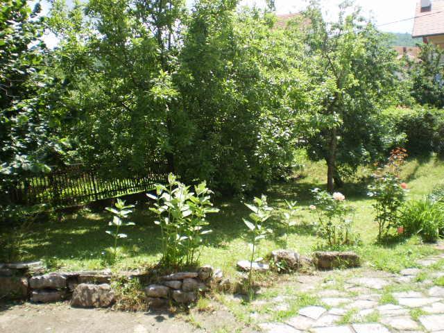 Studio Elizabeta Sokobanja Buitenkant foto